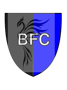 Badge image