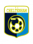 Badge image