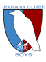 Badge image