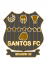 Badge image