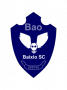 Badge image