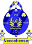 Badge image