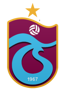 Badge image