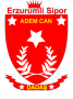 Badge image