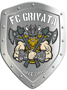 Badge image